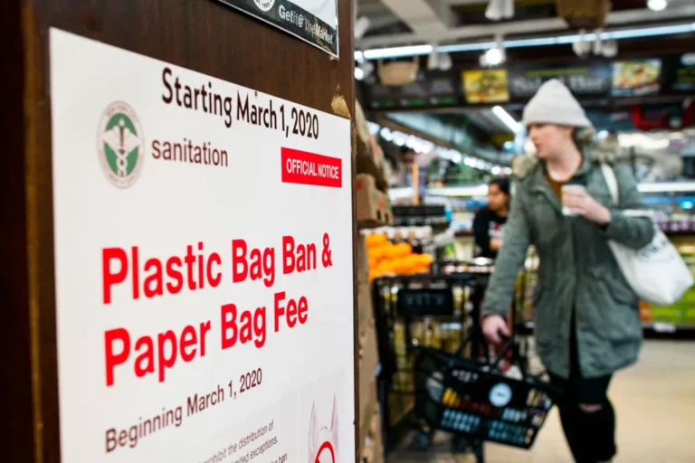 Retail Nudges: Reducing Plastic Bag Consumption in the US